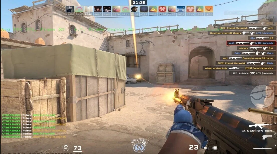 cs2 binds