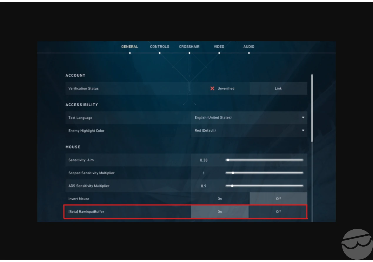 raw input buffer enable valorant