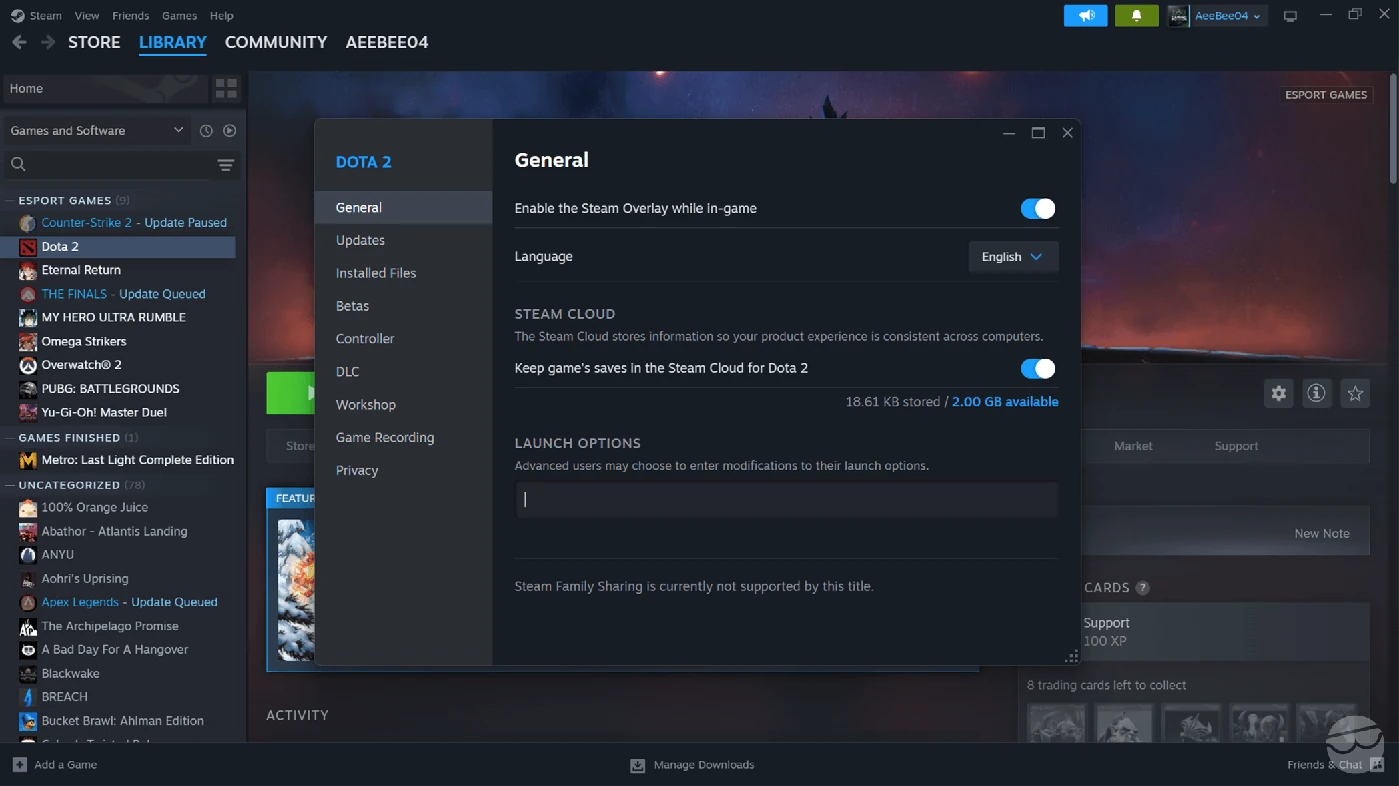 enable dota 2 console in steam settings