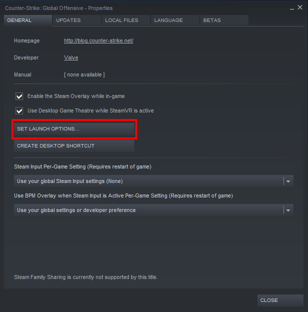 Set Launch Options